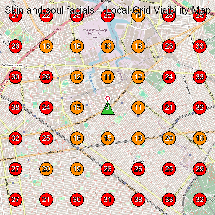 Skin and soul facials GeoGrid visibility map for Facial Spa in Brooklyn